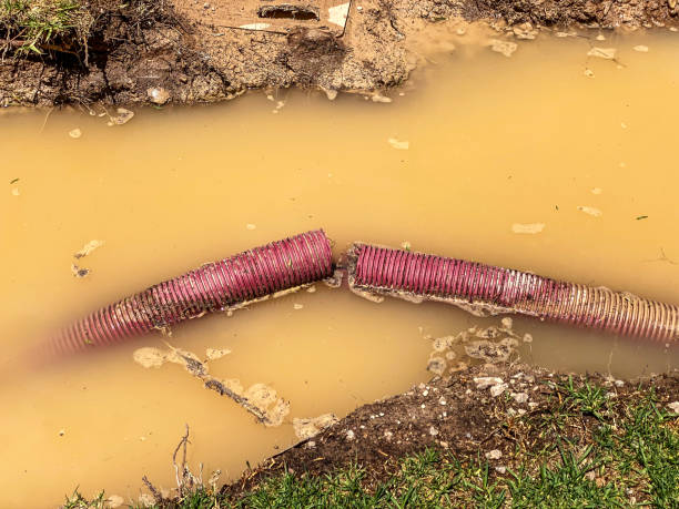 Best Commercial Water Damage Restoration in Fairmead, CA